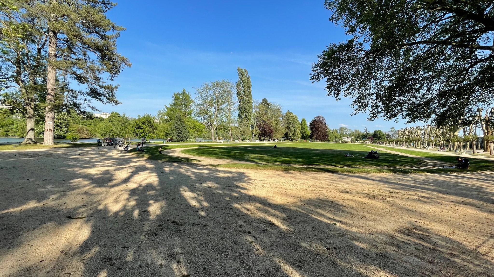 La Ville d'Auxerre installe un écran géant au Parc de l'Arbre-Sec