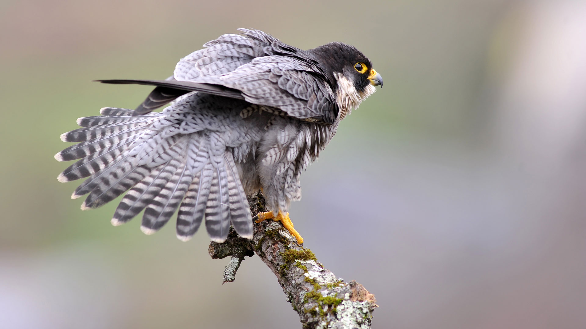 Sensibilisation à la biodiversité avec la LPO Yonne