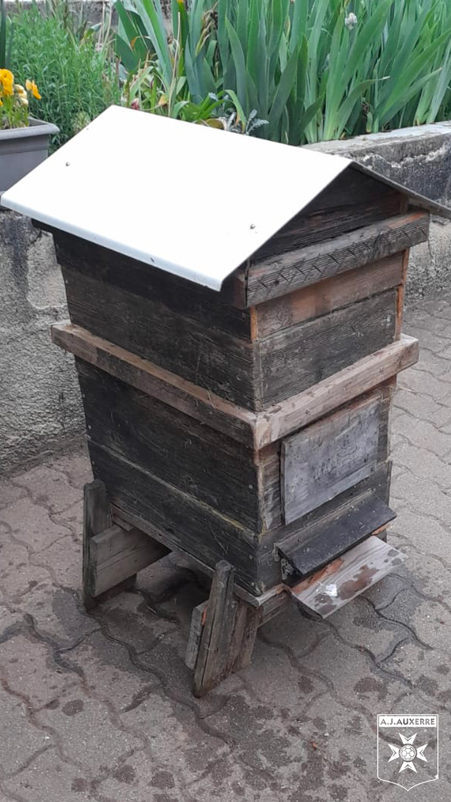 Le centre de formation se met à l'apiculture