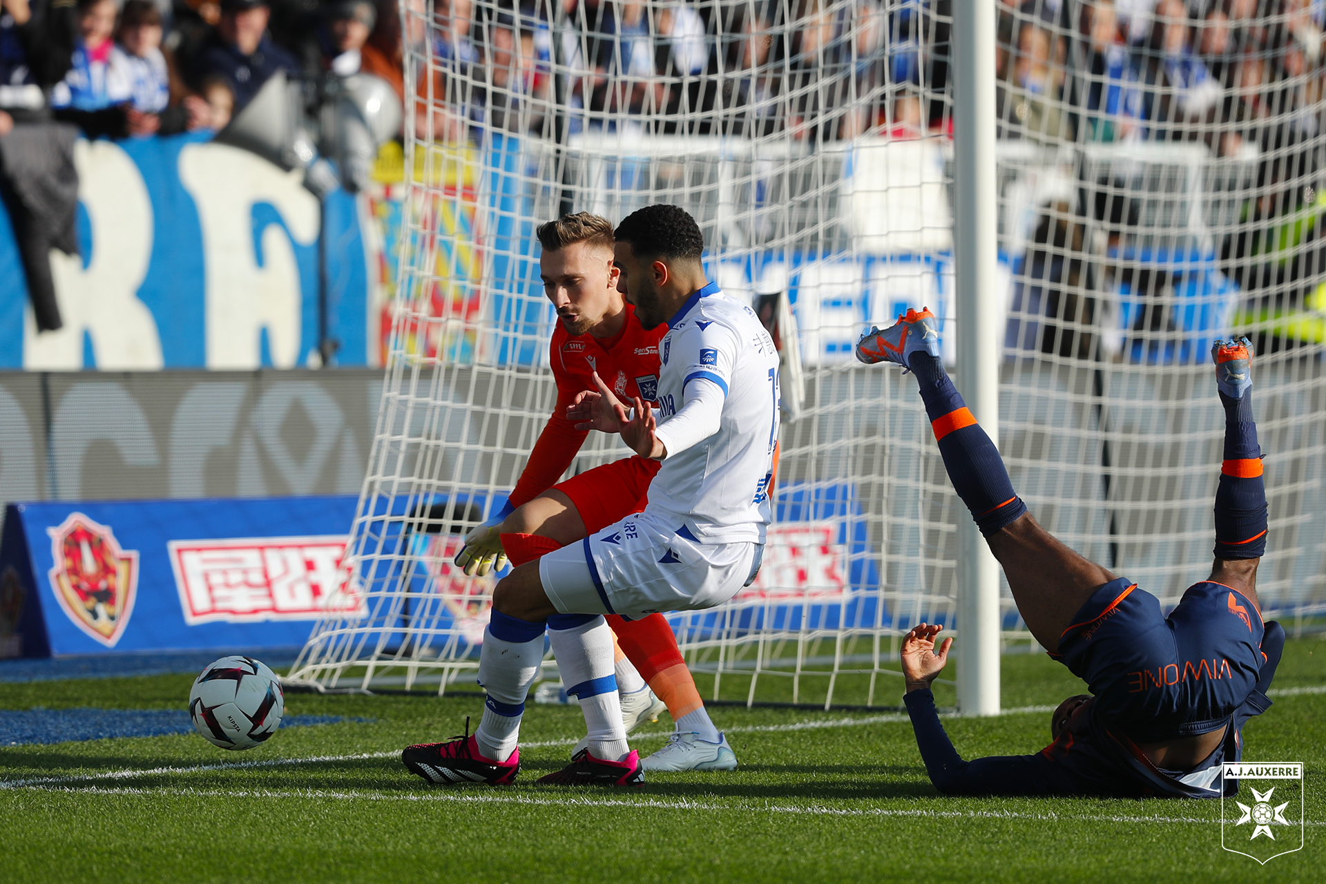 L'AJA s'incline face à Montpellier